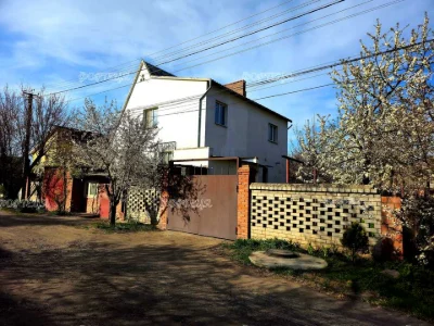 Будинок. Підгородне, Литвишко