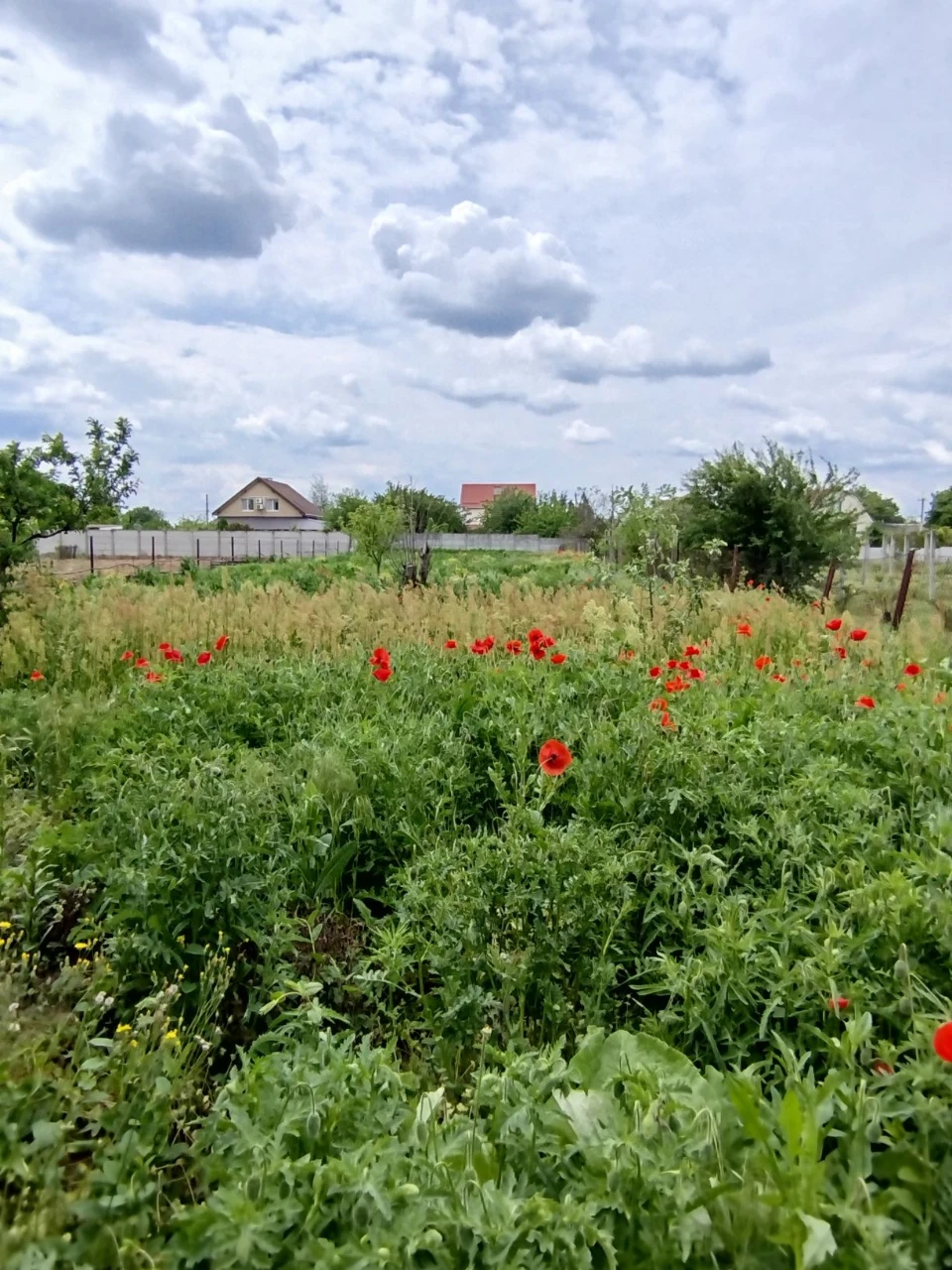 Продаж будинку Підгородне