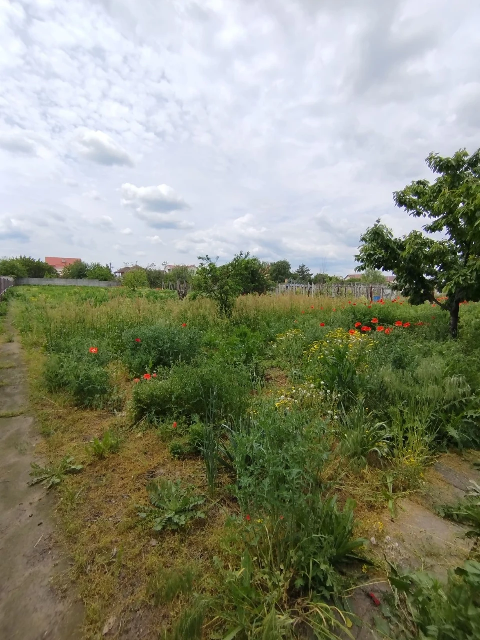 Продаж будинку Підгородне