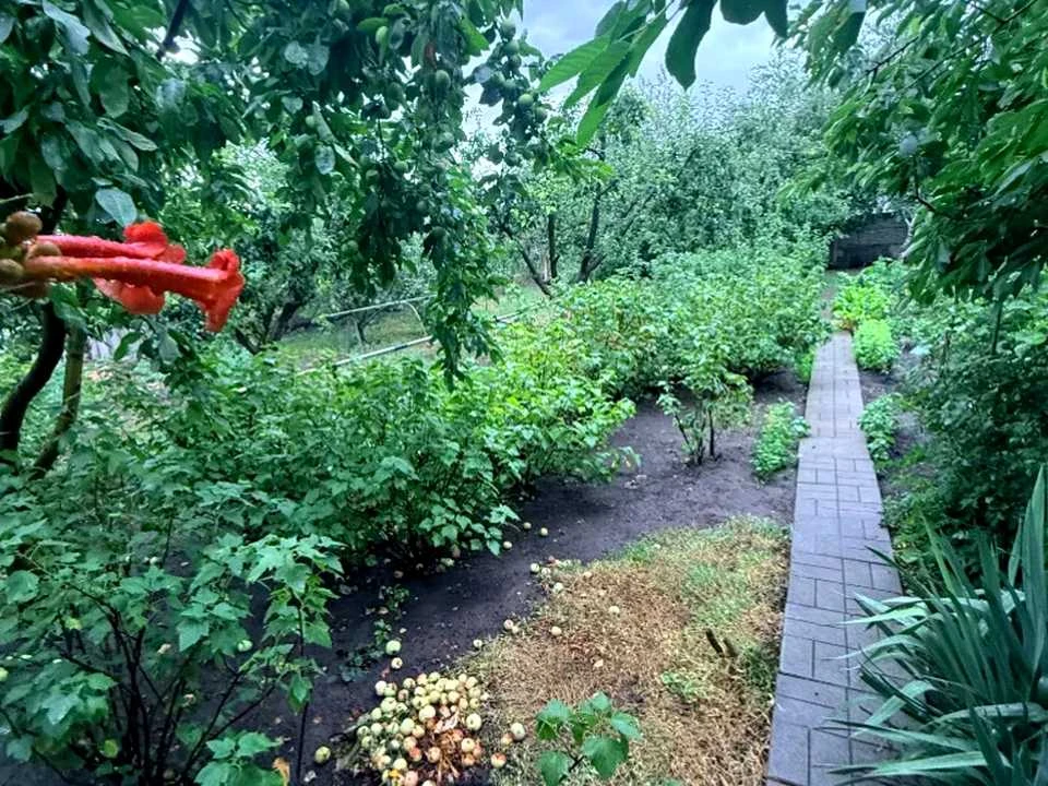 Будинок. Підгородне, 50 років Перемоги вул.