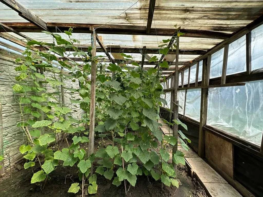 Продам двоповерховий будинок, м. Підгородне, вул. Перемоги