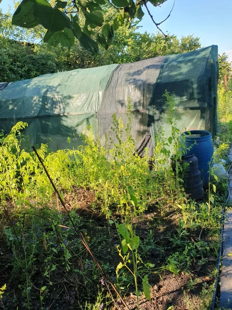 Продам дом Подгородное Железнодорожная.