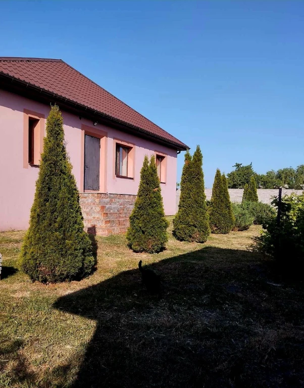 Продажа дома в Подгороднем. Ремонт, мебель,  техника