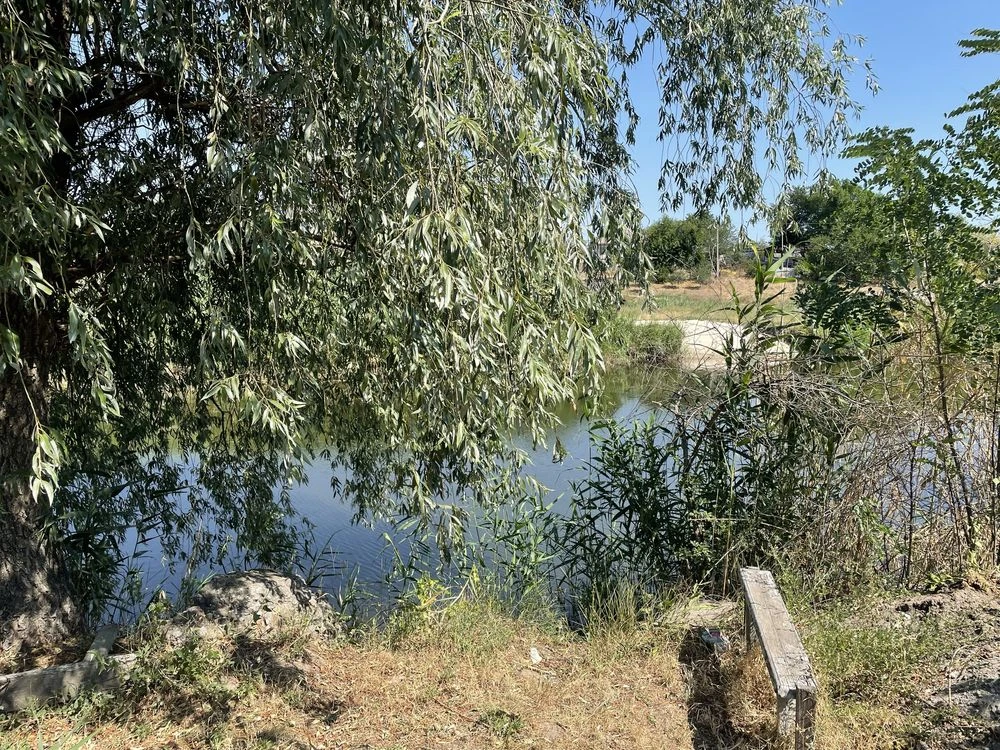 Продам дом в Подгороднем у реки, Метро Епіцентр Кильчень Окт