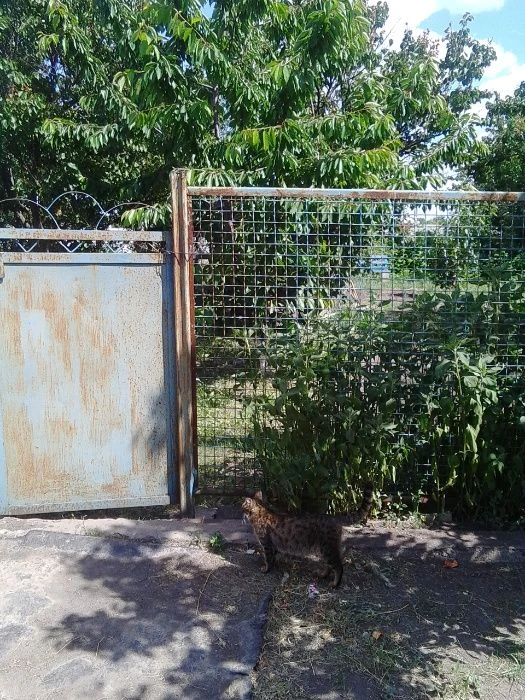 продам дом в Перещепино