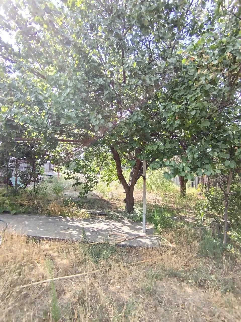 Будинок в Підгородне