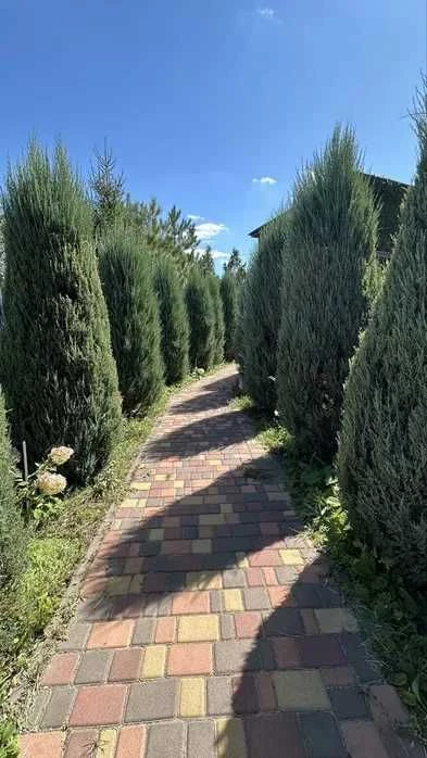 продам дом/дачу в Новосёловке с шикарным участком