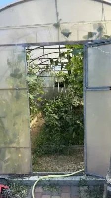 продам дом/дачу в Новосёловке с шикарным участком