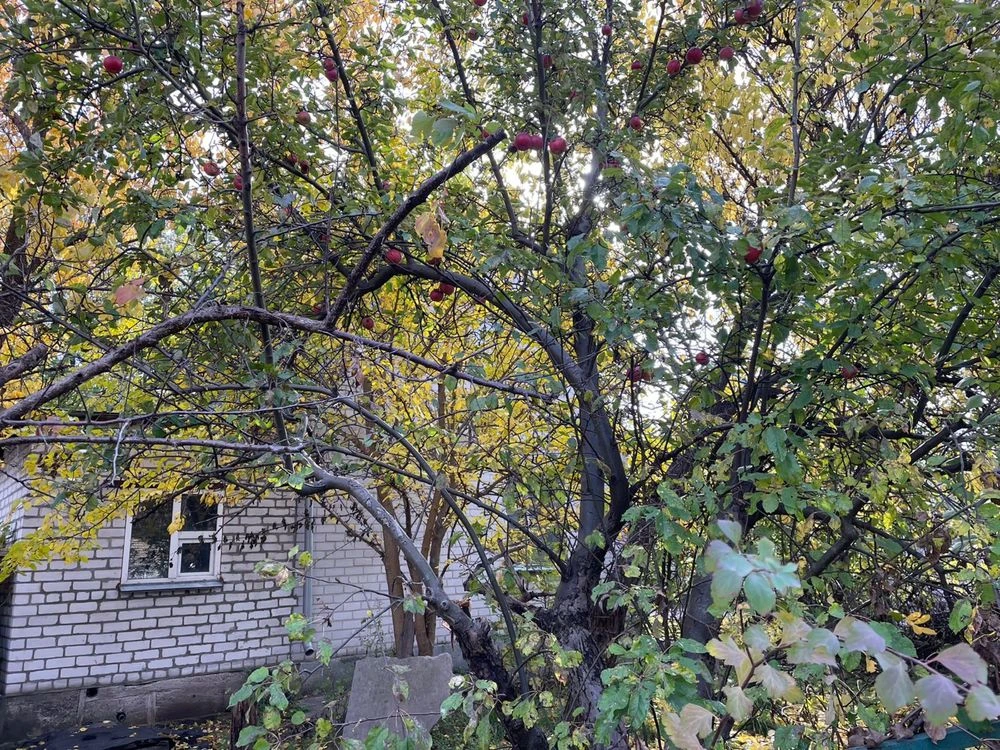 Продам Дом-дачу в  Подгороднем Ермолаевка