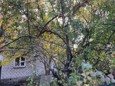 Продам Дом-дачу в  Подгороднем Ермолаевка