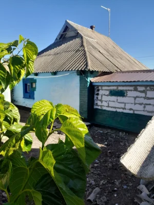 Продам дом в Узине