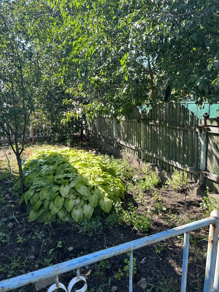 Продам будинок дом Подгородное от владельцев, рядом с городо