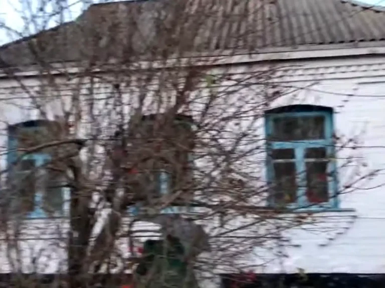 Продаж будинку 70 м² 16 сот.
