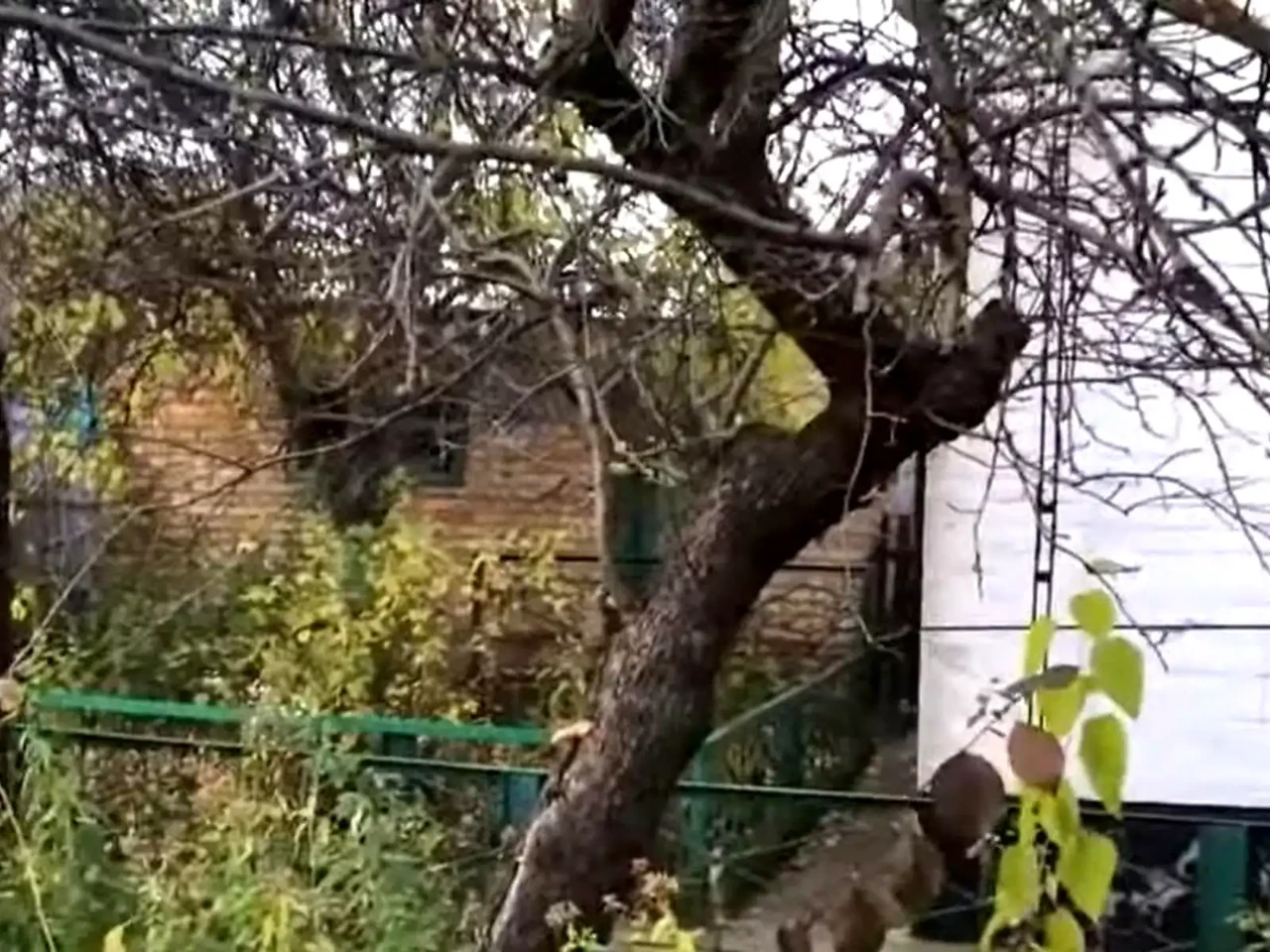 Продаж будинку 70 м² 16 сот.