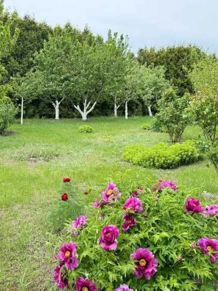 Без комісії,Продаю будинок в с.Ржищев, 30 соток,біля Дніпра