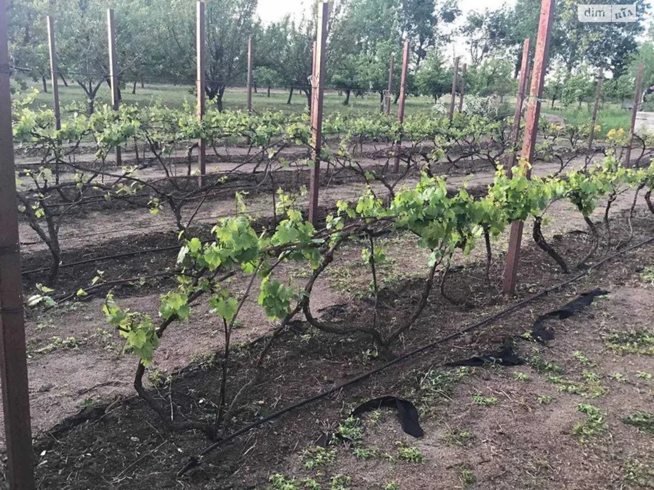 Продаж Дім