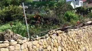 Дача Ковалевского Продам дом-дачу первая линия моря Л.