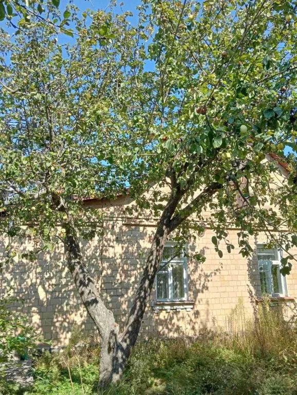 Боярка, центр. Продаж.  Одноповерховий будинок із  чевоної ц