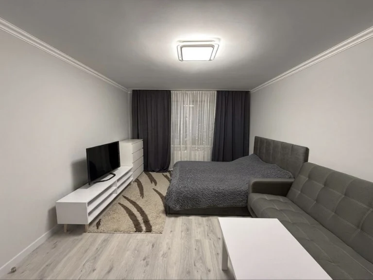 1 bedroom apartment in a new building for the program