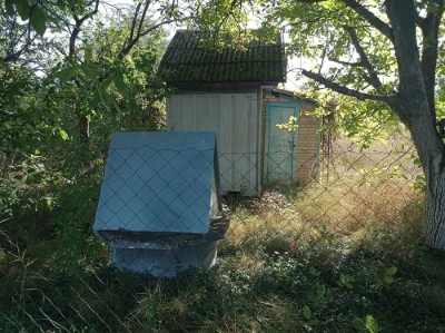 Дача в с.В.Офірна