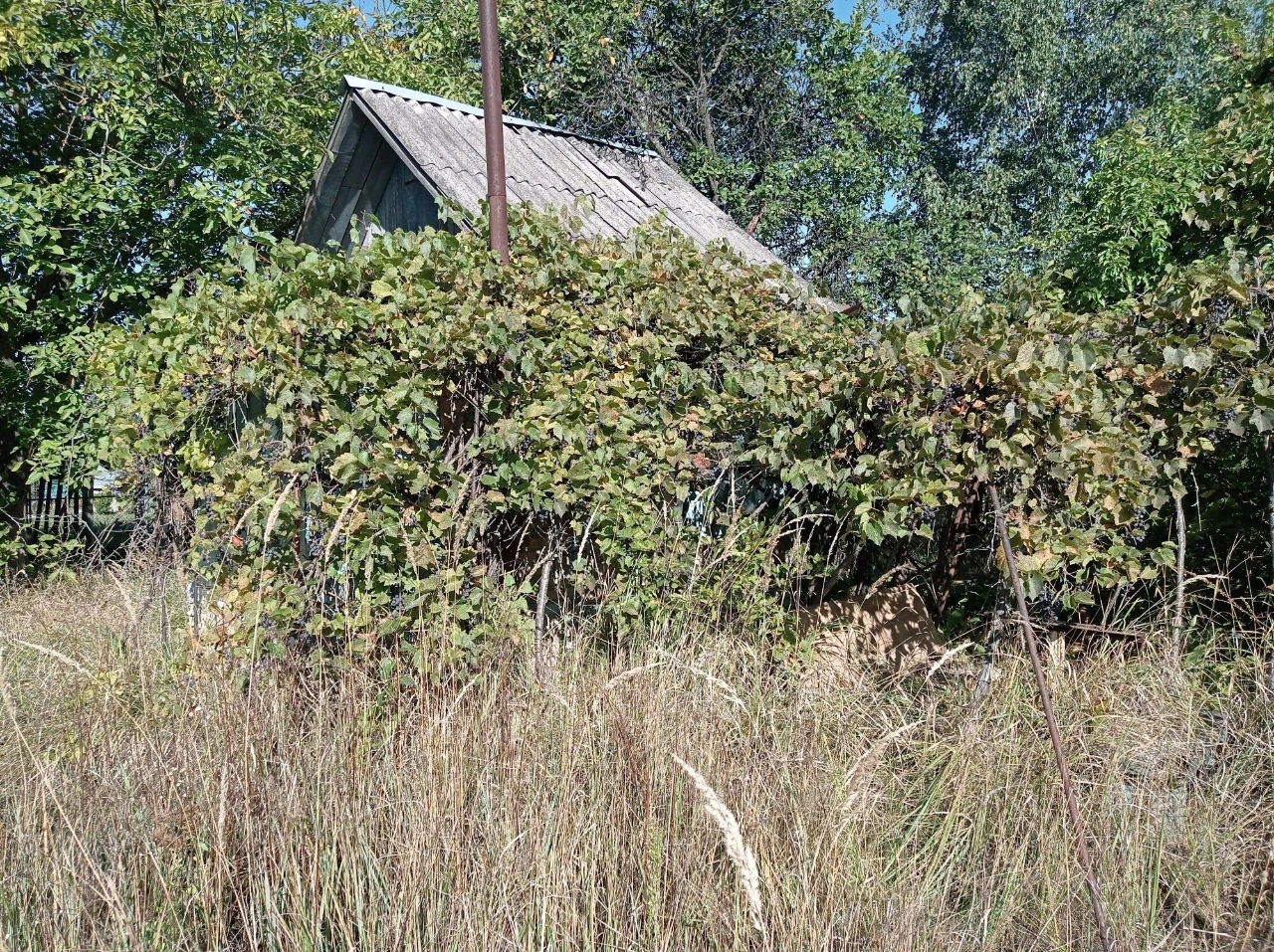 Дача в с.В.Офірна
