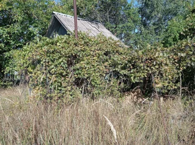 Дача в с.В.Офірна