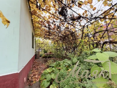 Продам 2-поверховий будинок/дачу площею 82,5 м² у мальовничо