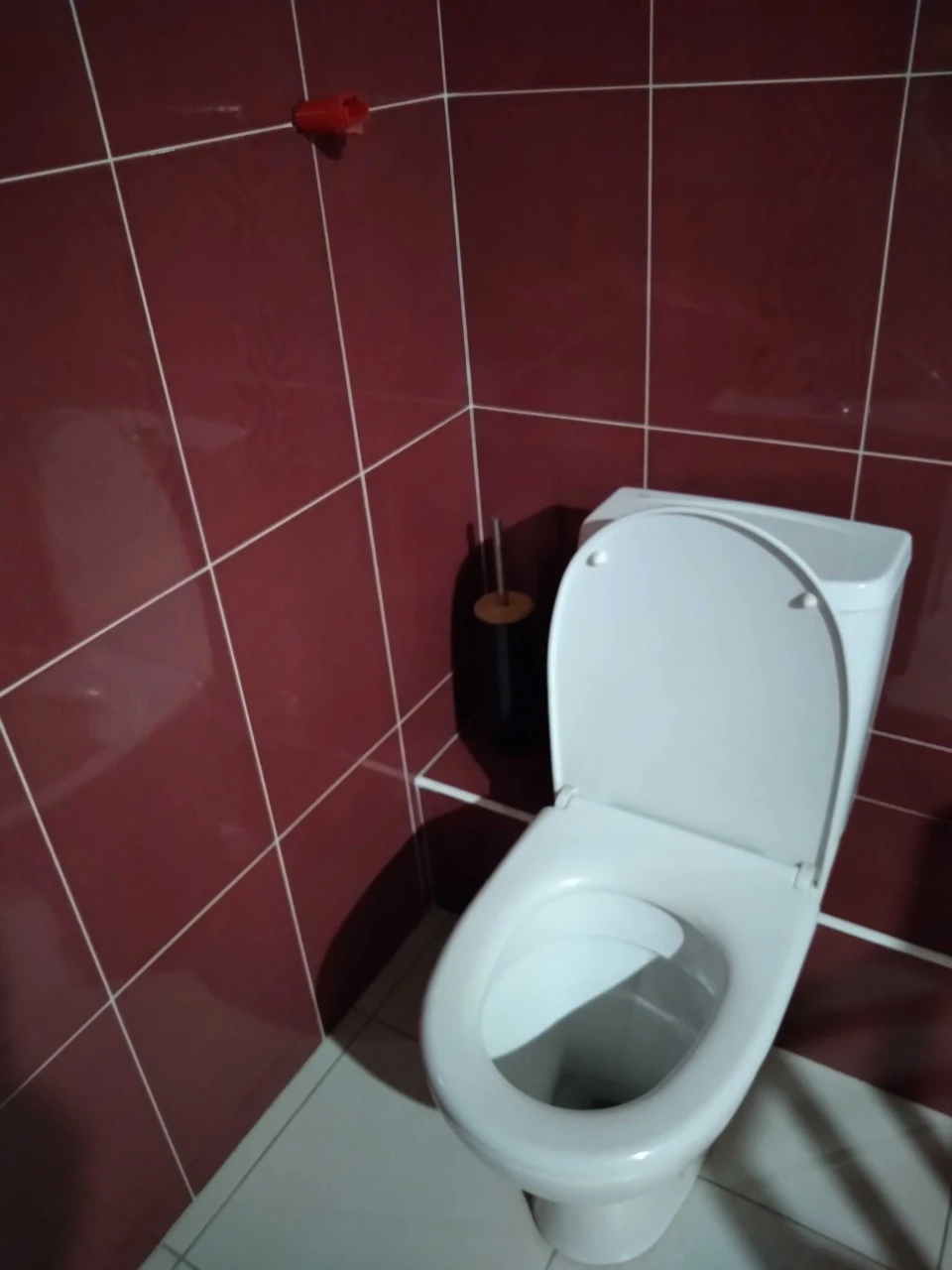 Продам будинок з гаражем Боярка (село Нове) Київська обл