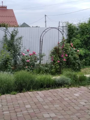 Продам будинок з гаражем Боярка (село Нове) Київська обл