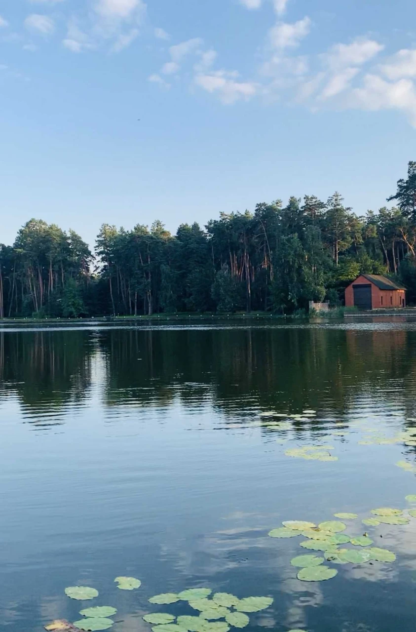 Продаж будинку в СТ Енергобудівельник.