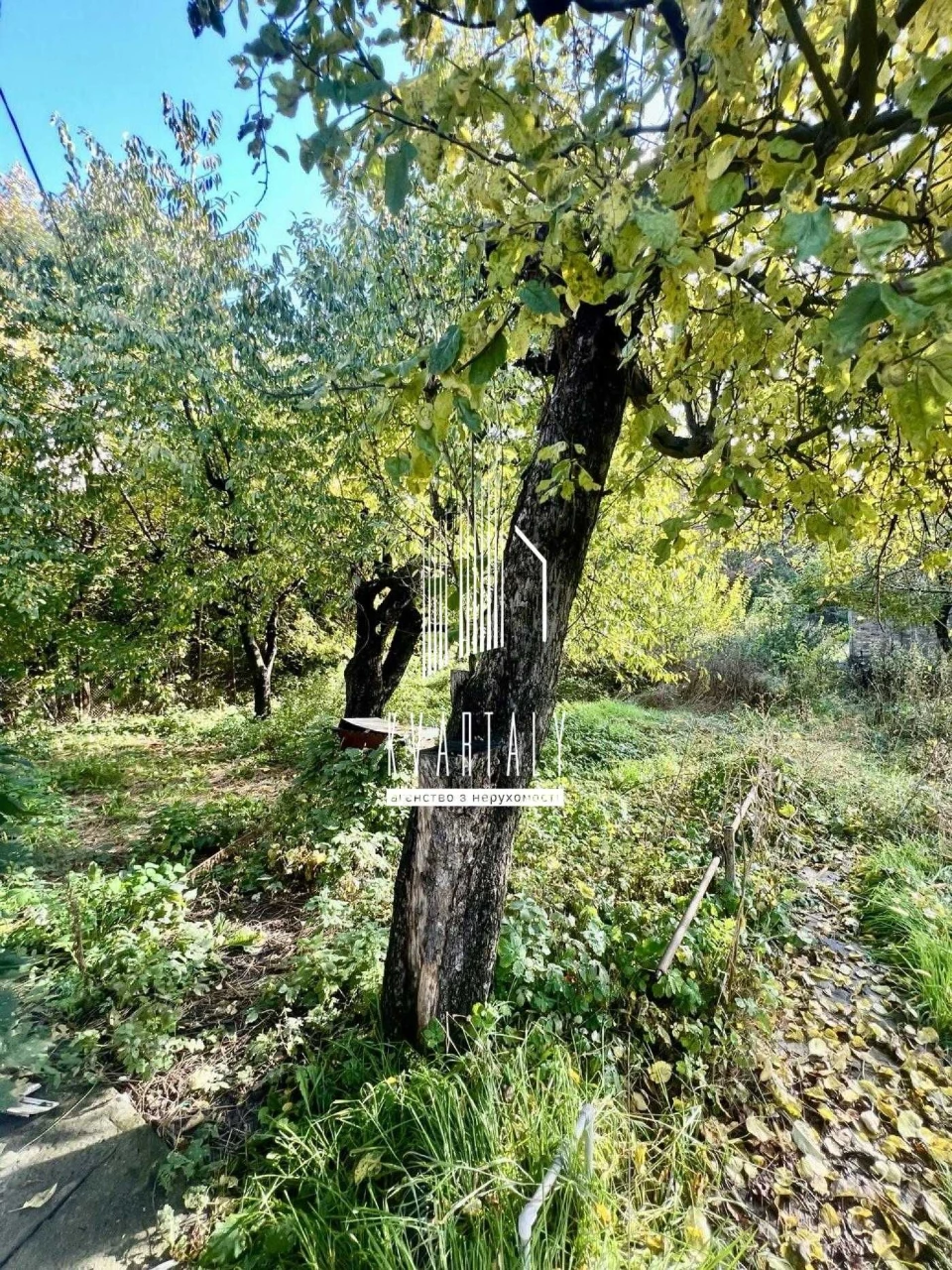 Продаж дачної ділянки з будинком в Українці