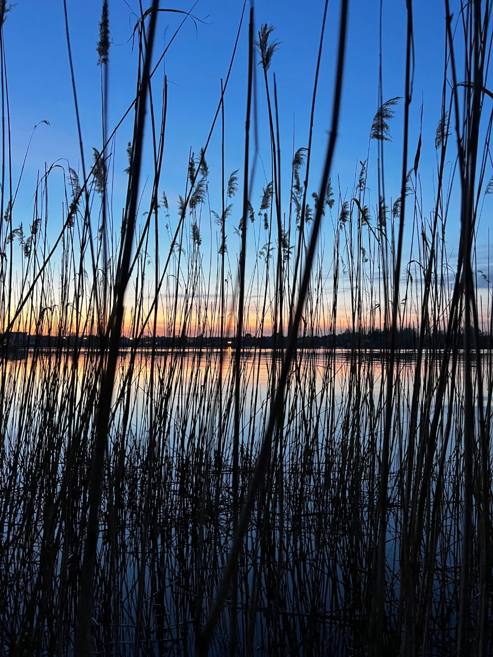 Будинок Українка, вихід на воду, човнова станція, Плюти, Коз