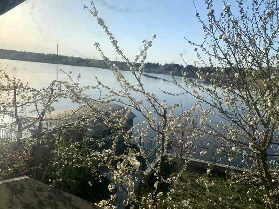 Будинок. Українка, Київська вул.
