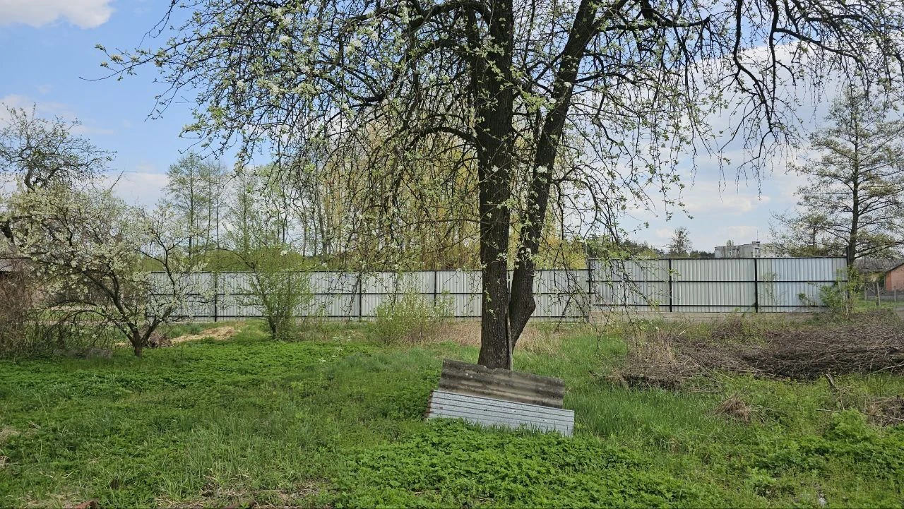 будинок з ділянкою 35 сотиків
