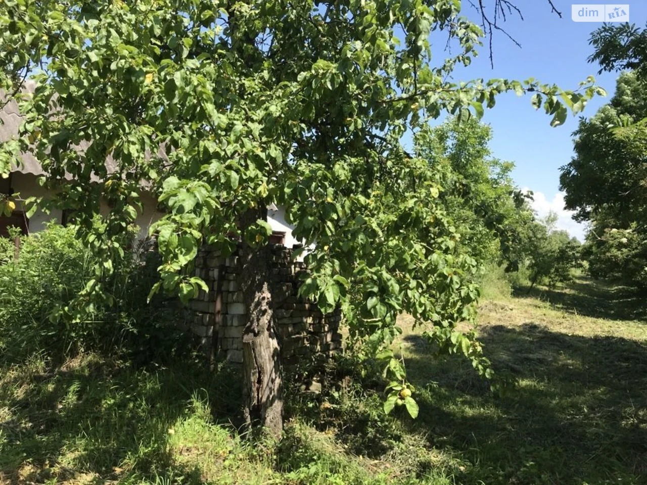 Продаж Дім