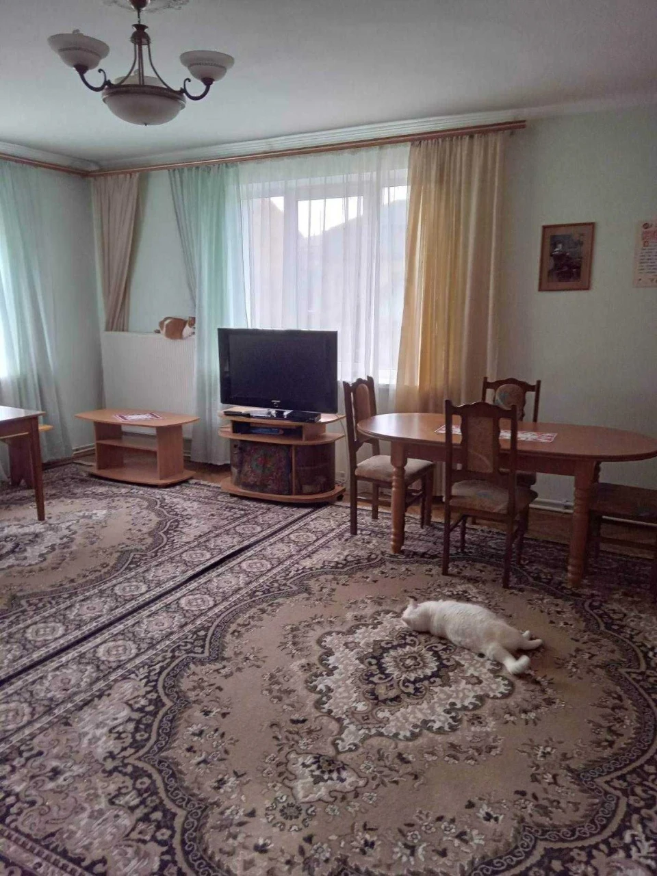Продаж/Будинок/Житловий стан/Бібрка/Львівська область