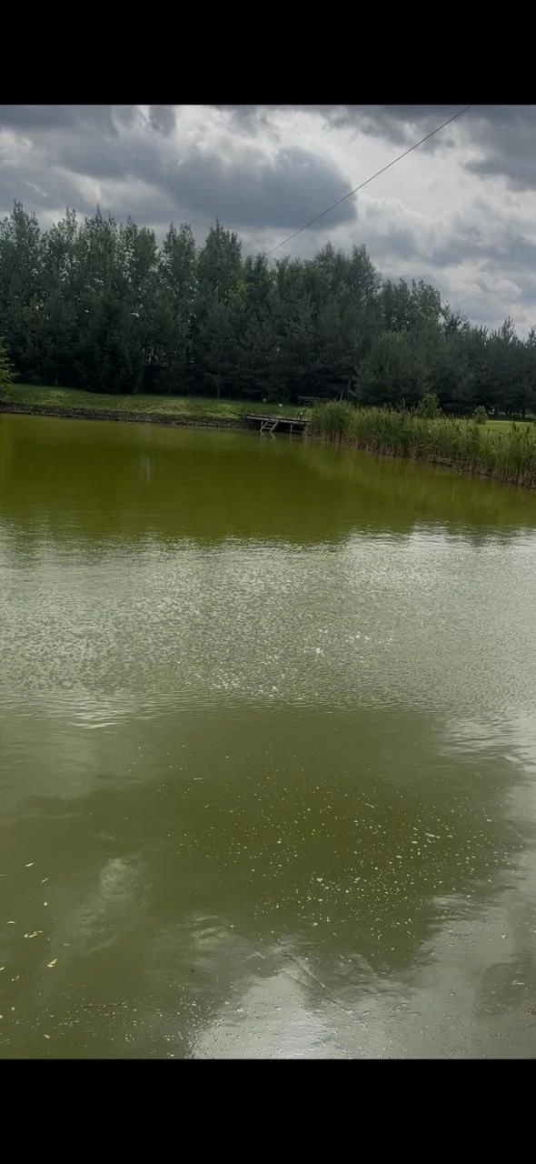 БЕЗ КОМІСІЇ. !! Термінова продажа .Будинок,Ранчо,Дача,Маєток