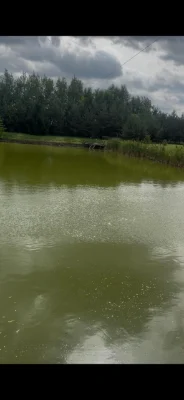 БЕЗ КОМІСІЇ. !! Термінова продажа .Будинок,Ранчо,Дача,Маєток