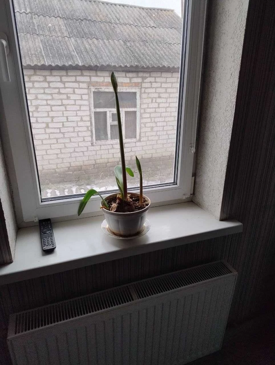 Продам кирпичный дом 108м2, земельный участок 25 соток г. Ме