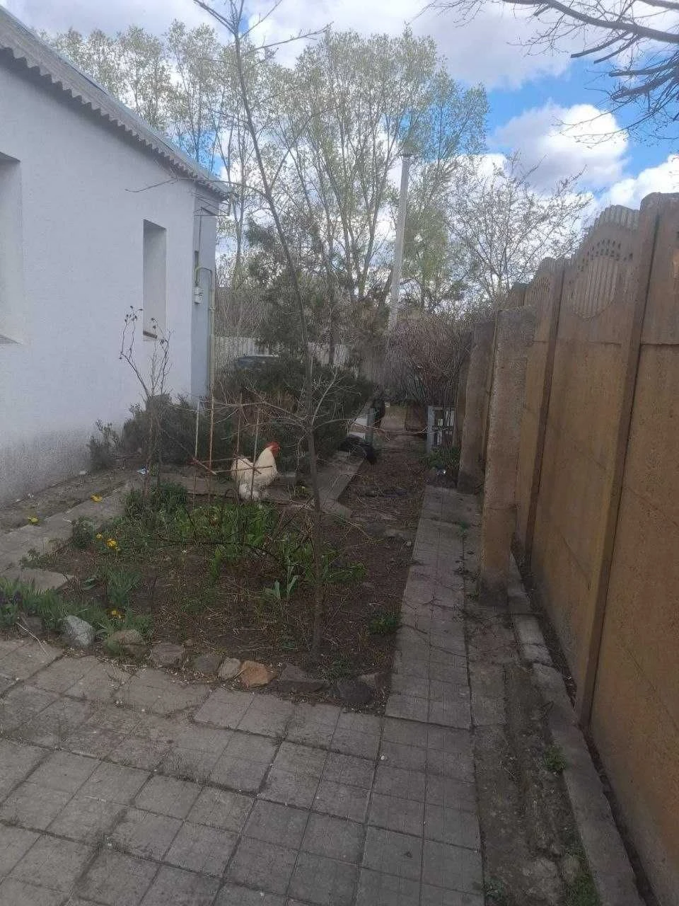 Продам дом 82м2 г.Мерефа. Торг!   SM