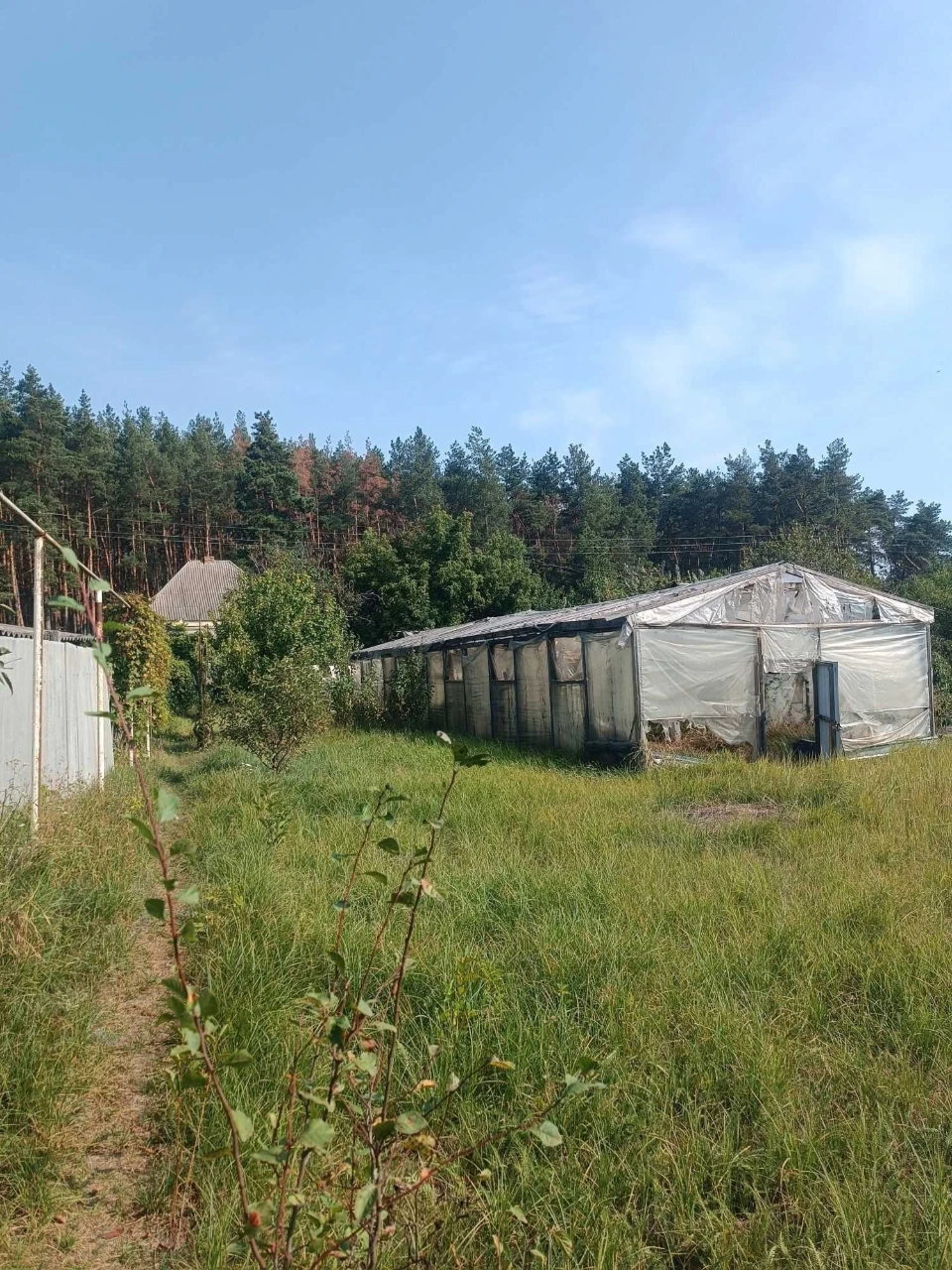 Продажа дома в сосновом бору с ремонтом г Мерефа