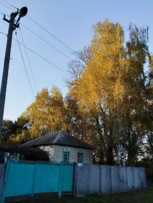 продам будинок в місті Батурин
