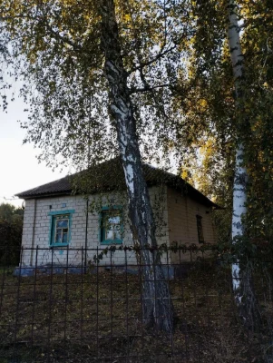 продам будинок в місті Батурин