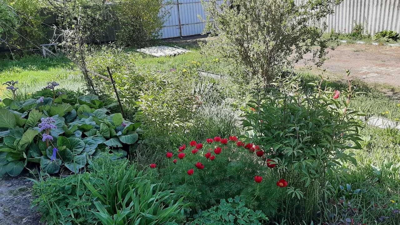 Продаж житлової нерухомісті  в с. Бірки (Зміївська гр.)Чугуї
