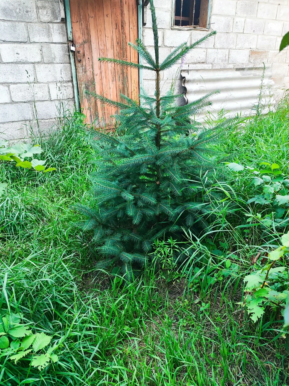 Ексклюзив. Продається будинок в Мерефі