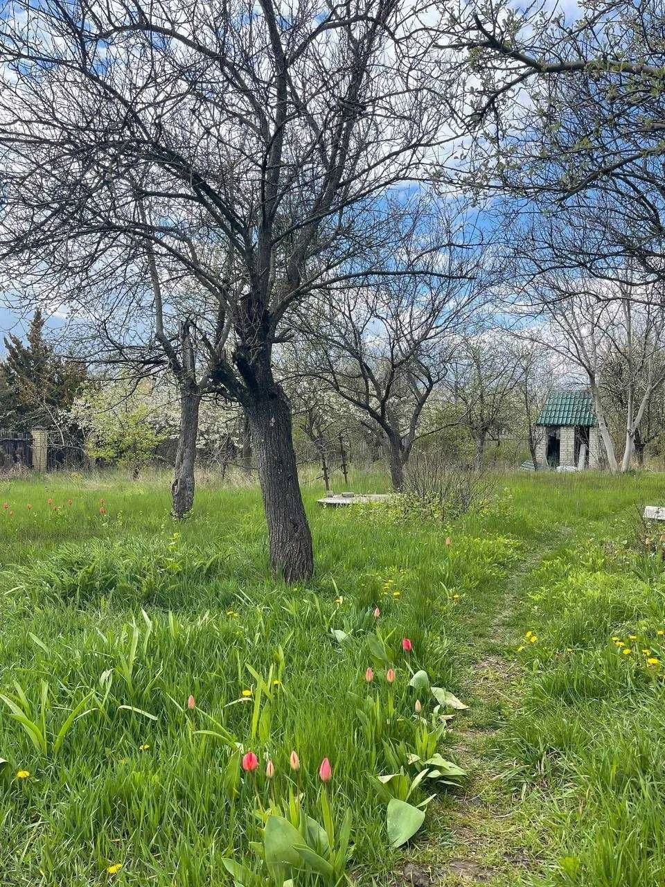 Продається домоволодіння усадьба в Південному, 20 хвилин від
