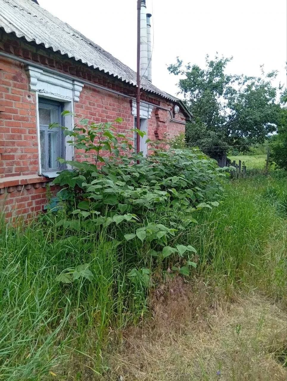 Продаж будинку Комарівка(Південне), землі 19 соток