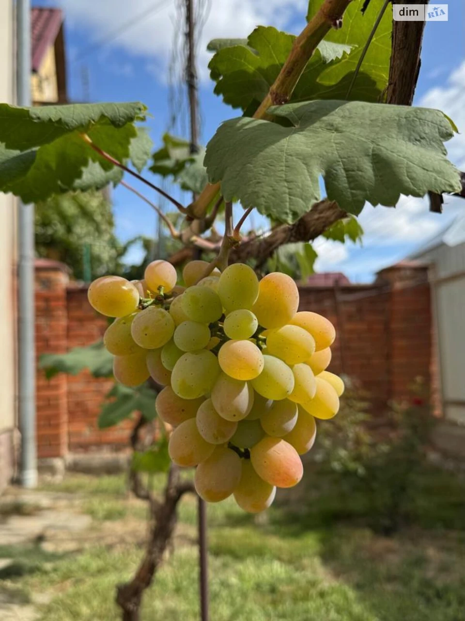 Продаж Дім