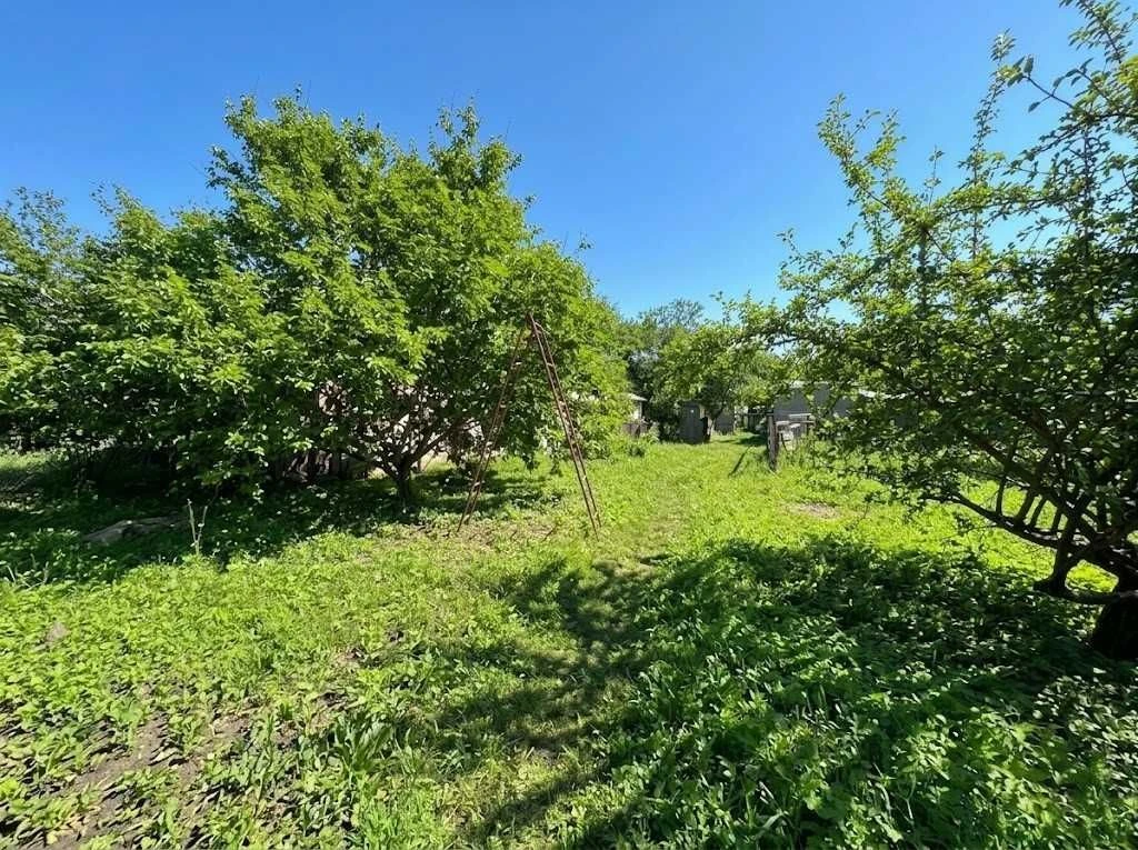 продаж будинку Вишневе 46м2, 2 кімнати Вишневе ID:791