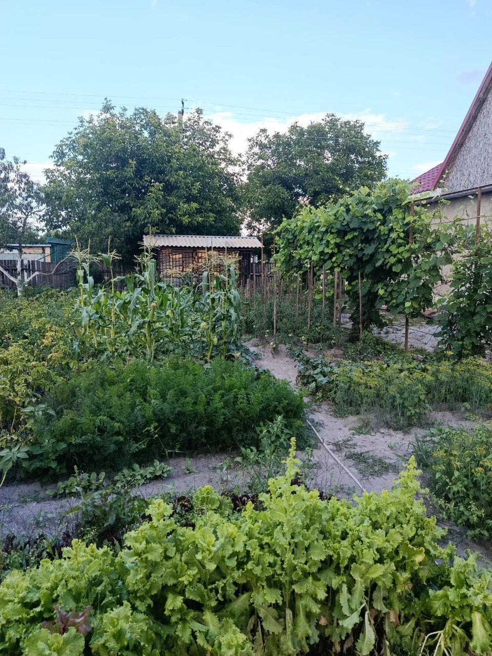 Продаємо будинок, Славута